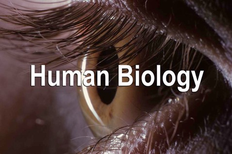 Human Biology Icon