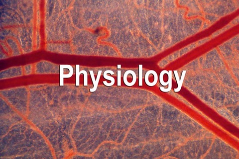 Physiology Icon